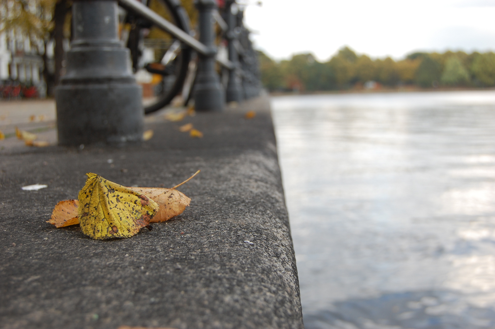 bunter Herbstgruß aus Hamburg