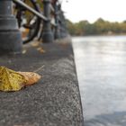 bunter Herbstgruß aus Hamburg