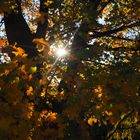 bunter, herbstlicher Sonntag mit Sonne