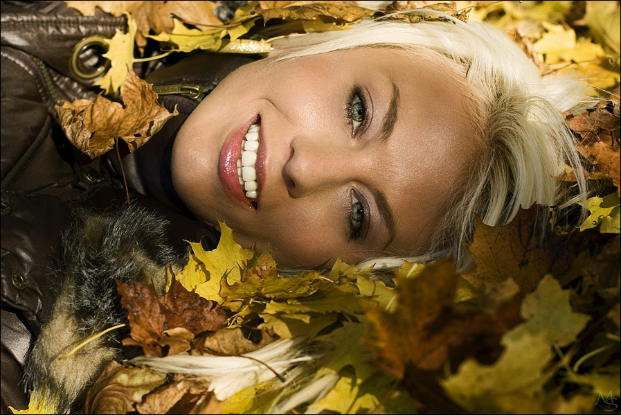 Bunter Herbstwald