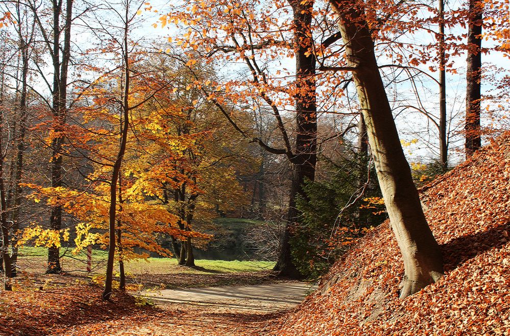 Bunter Herbstwald, Bad Muskau