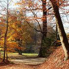 Bunter Herbstwald, Bad Muskau