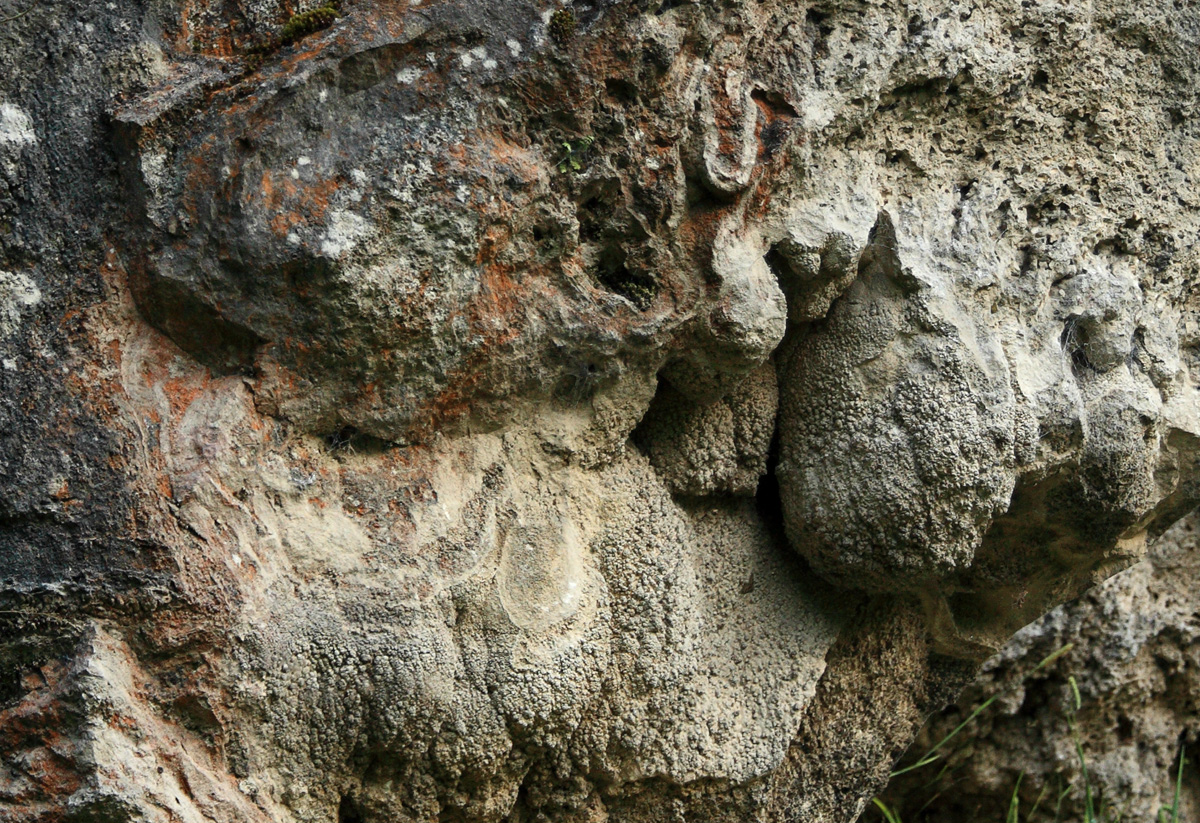 Bunter Kalktuff auf der Schwäbischen Alb