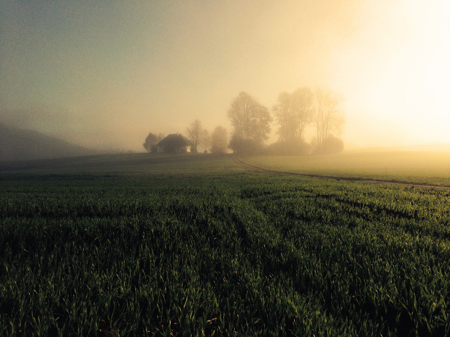 bunter Nebel