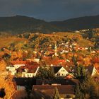 Bunter Nordschwarzwald