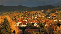 Bunter Nordschwarzwald