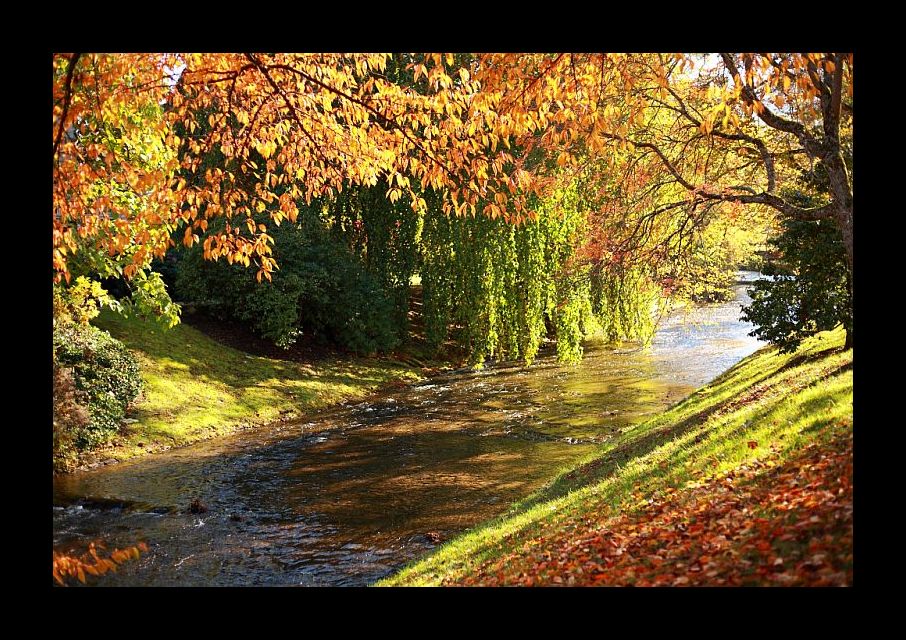 Bunter Oktober