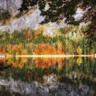 Bunter Oktober am Leopoldsteinersee