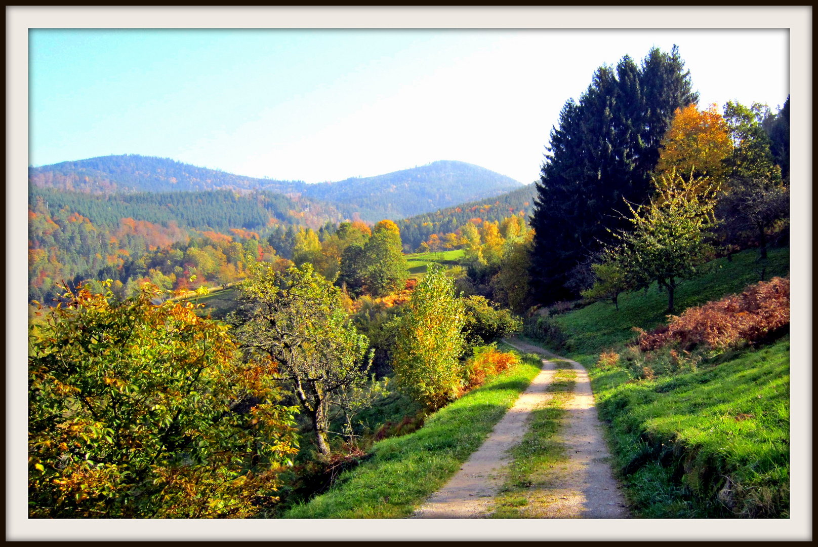 Bunter Schwarzwald