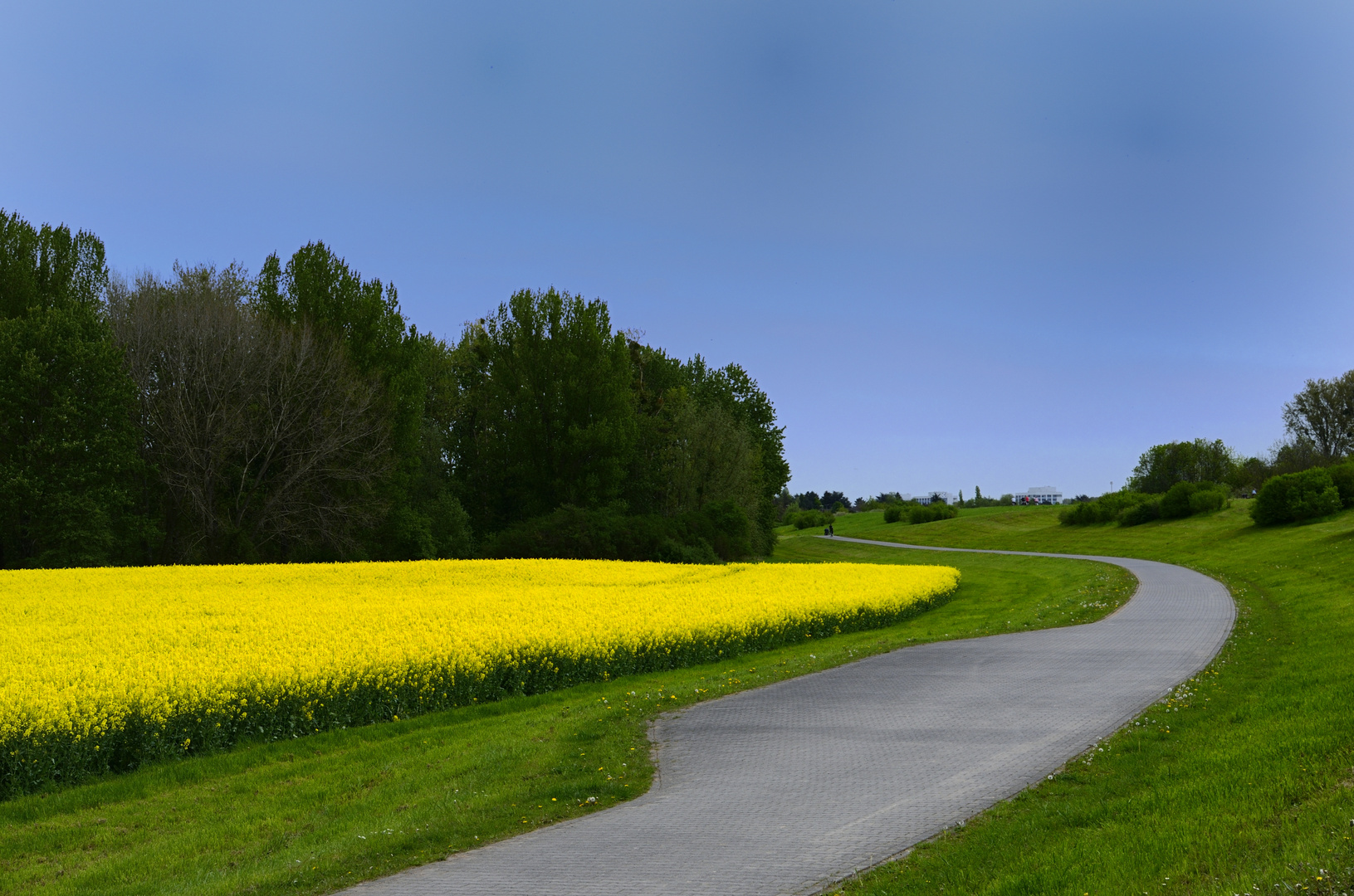 Bunter Sommertag