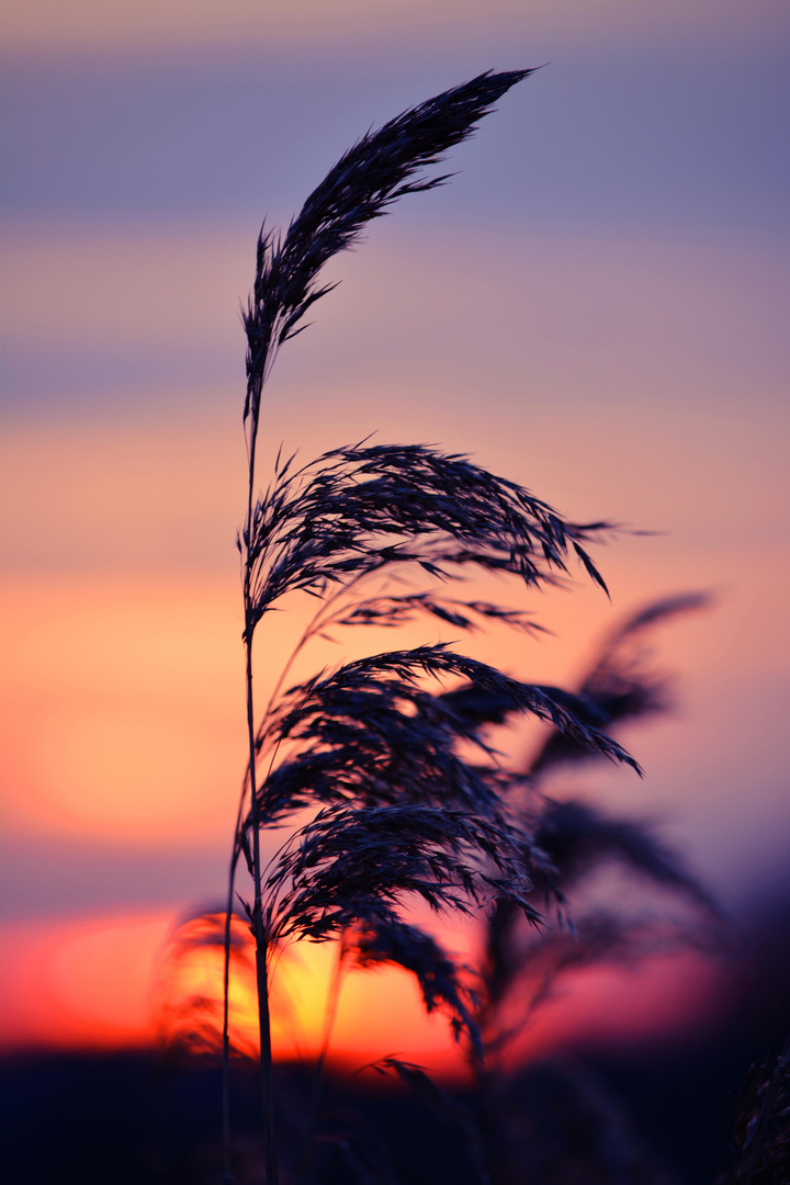 bunter Sonnenuntergang