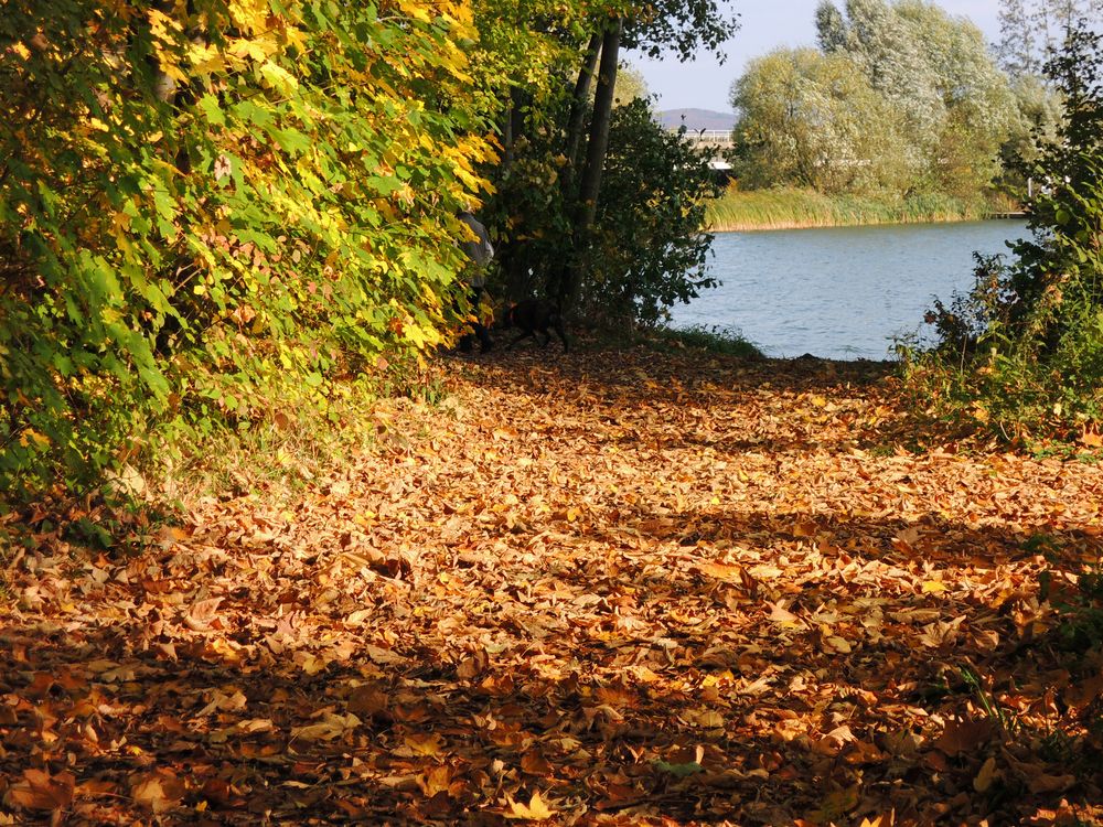 Bunter Spazierweg mit Blick auf den See.