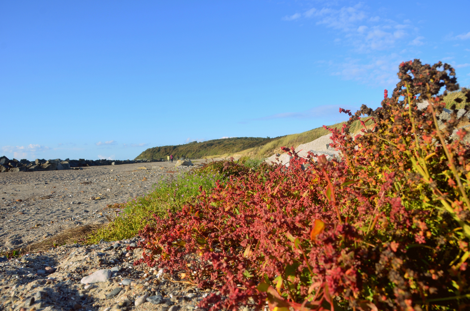 Bunter Strand