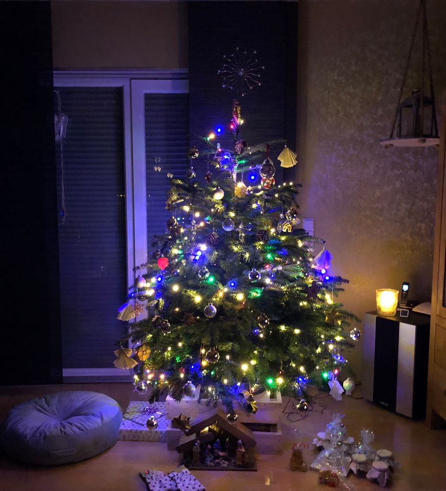 Bunter Tannenbaum 2025 Rayna Othilie