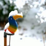 Bunter Vogel in weißem Schnee