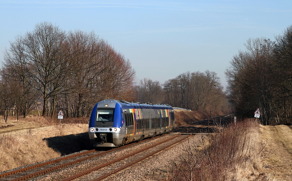 Bunter VT in brauner Landschaft