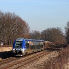 Bunter VT in brauner Landschaft