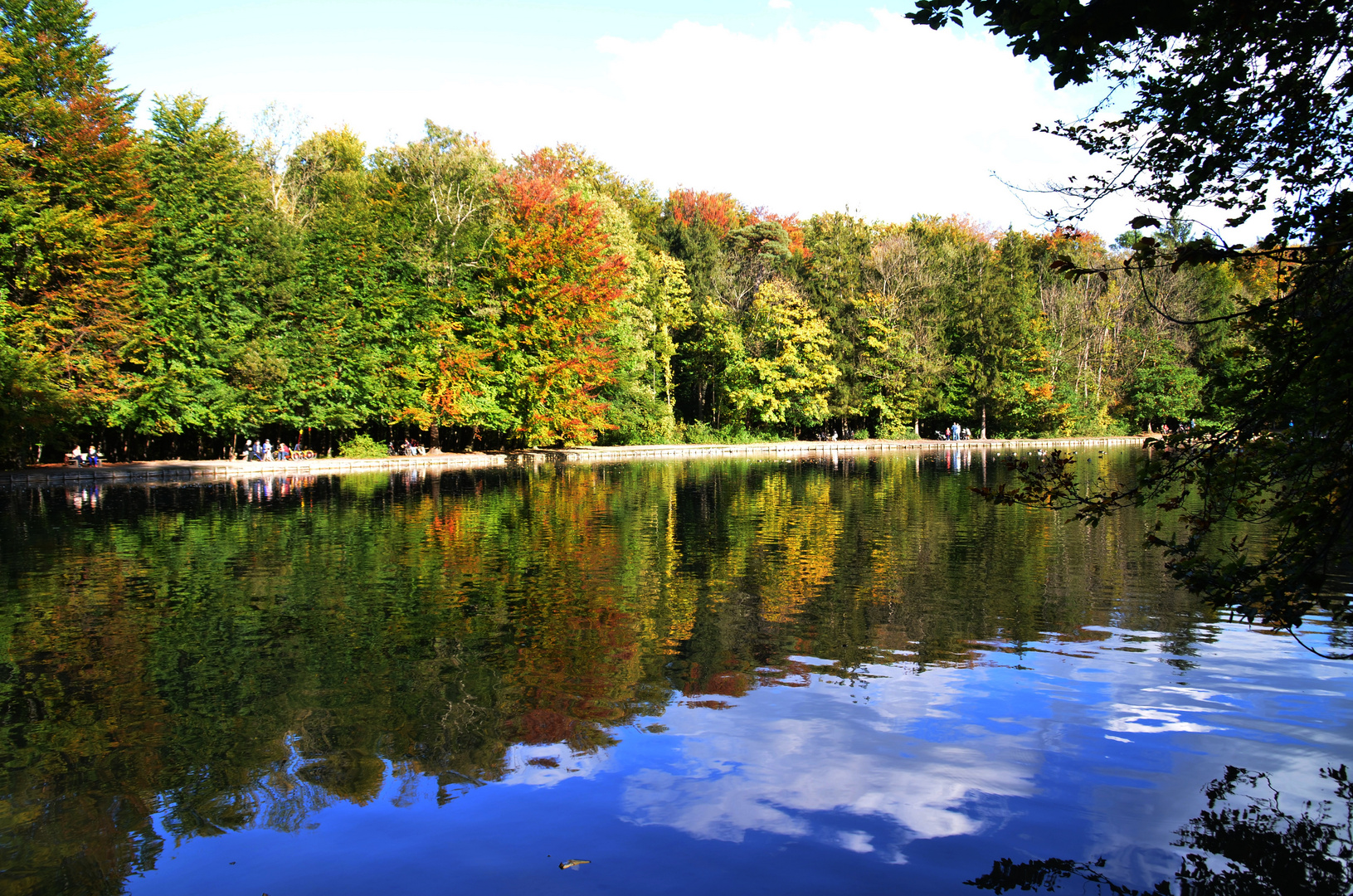 Bunter Wald