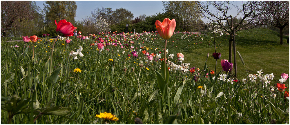 buntes