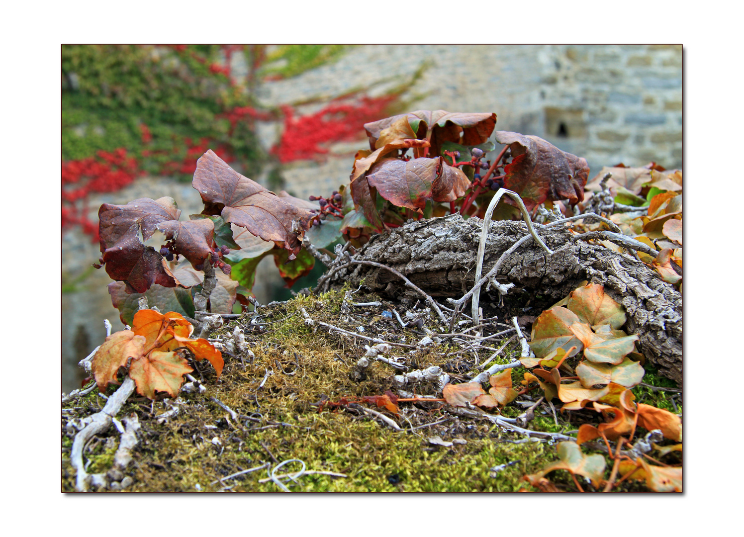 ***buntes Allerlei***