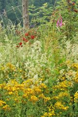 Buntes Allerlei