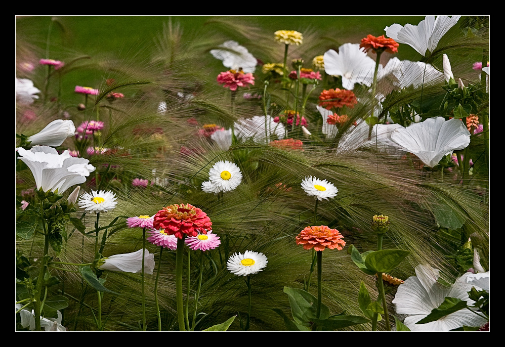 Buntes Allerlei