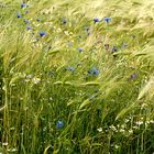 Buntes Allerlei