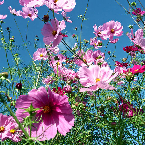 buntes Allerlei