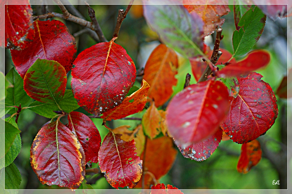 Buntes Allerlei