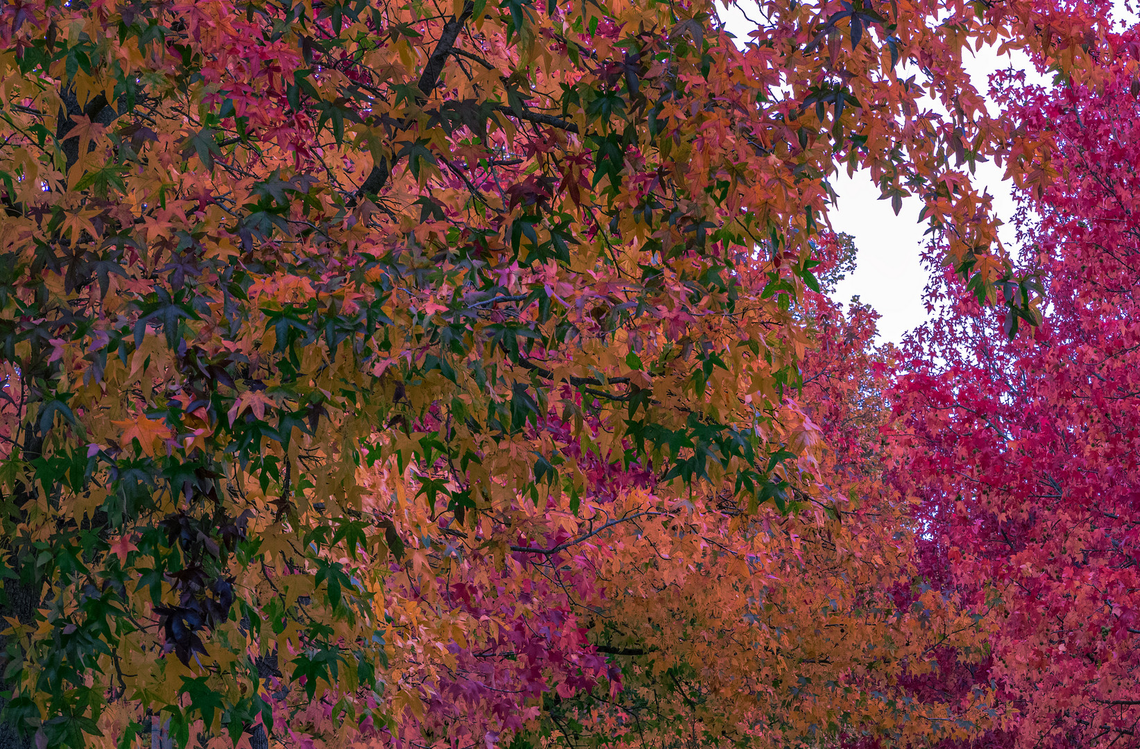 Buntes Allerlei 