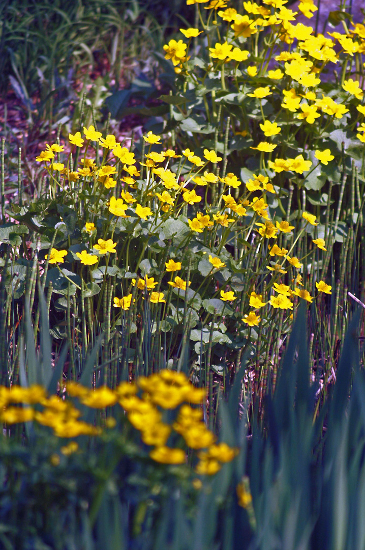 buntes Allerlei