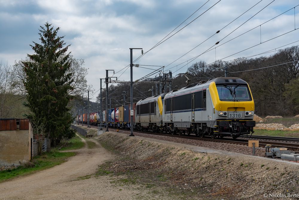 Buntes Allerlei mit Doppel-Muskelpack