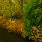 Buntes am Fluss