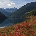 Buntes am Vernagt Stausee