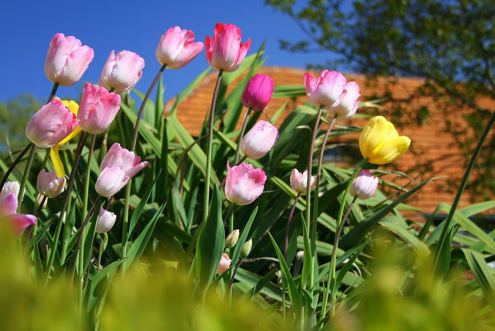 buntes am weg