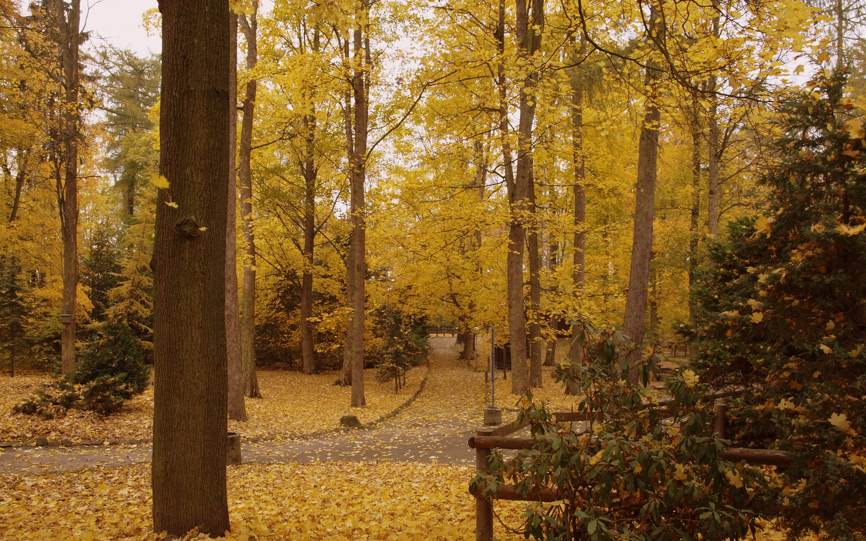 Buntes Annaberg-Buchholz / 3