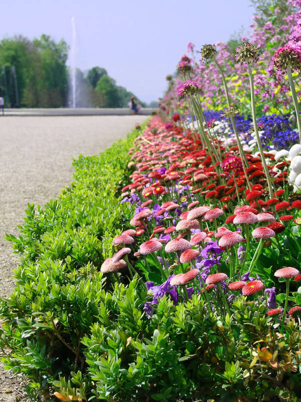 Buntes Arrangement