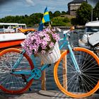 Buntes auf der Schären Insel Vaxholm