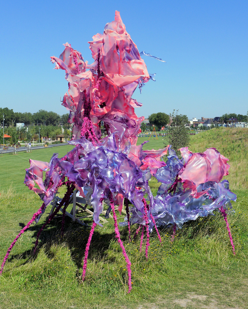 Buntes auf der Wiese