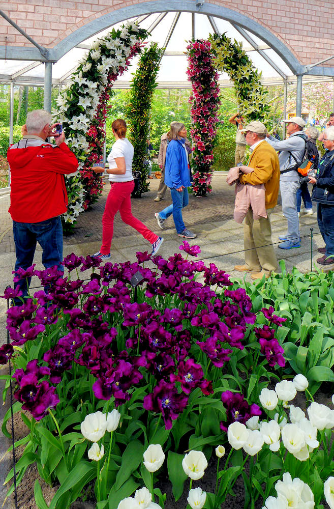 Buntes aus dem Keukenhof