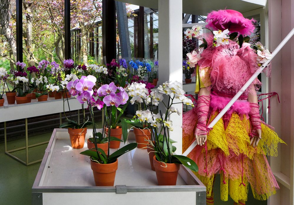 Buntes aus dem Keukenhof