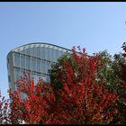 Buntes Berlin I  Herbst 2007