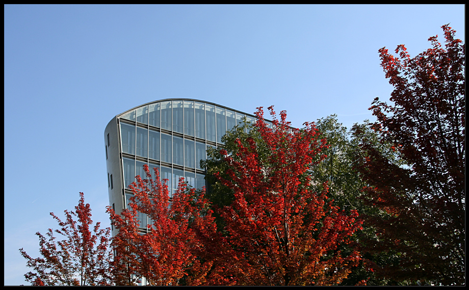 Buntes Berlin I  Herbst 2007