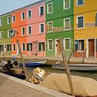 buntes Burano