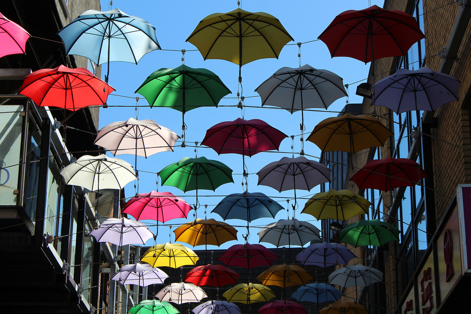 Buntes Dublin