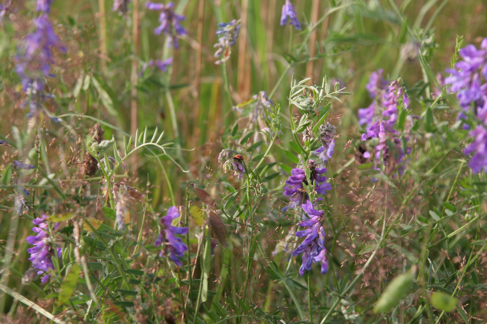 Buntes Durcheinander