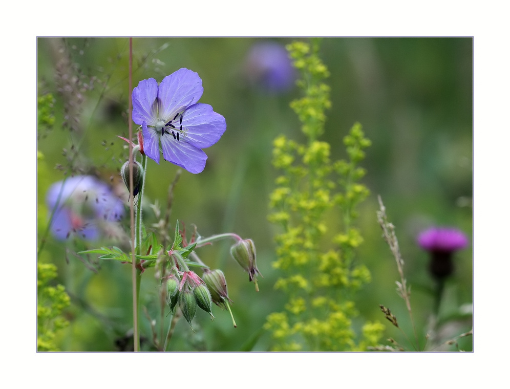 buntes Durcheinander