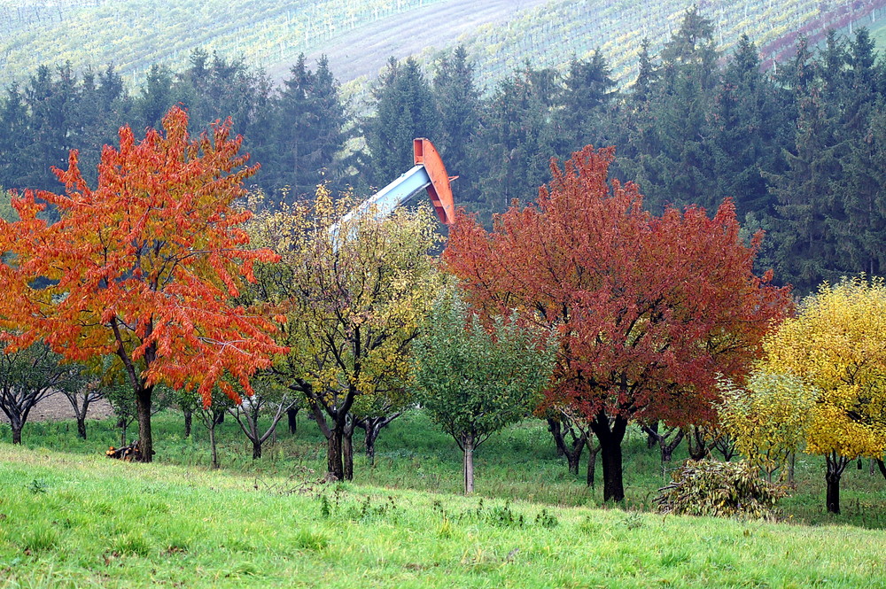 Buntes Erdöl