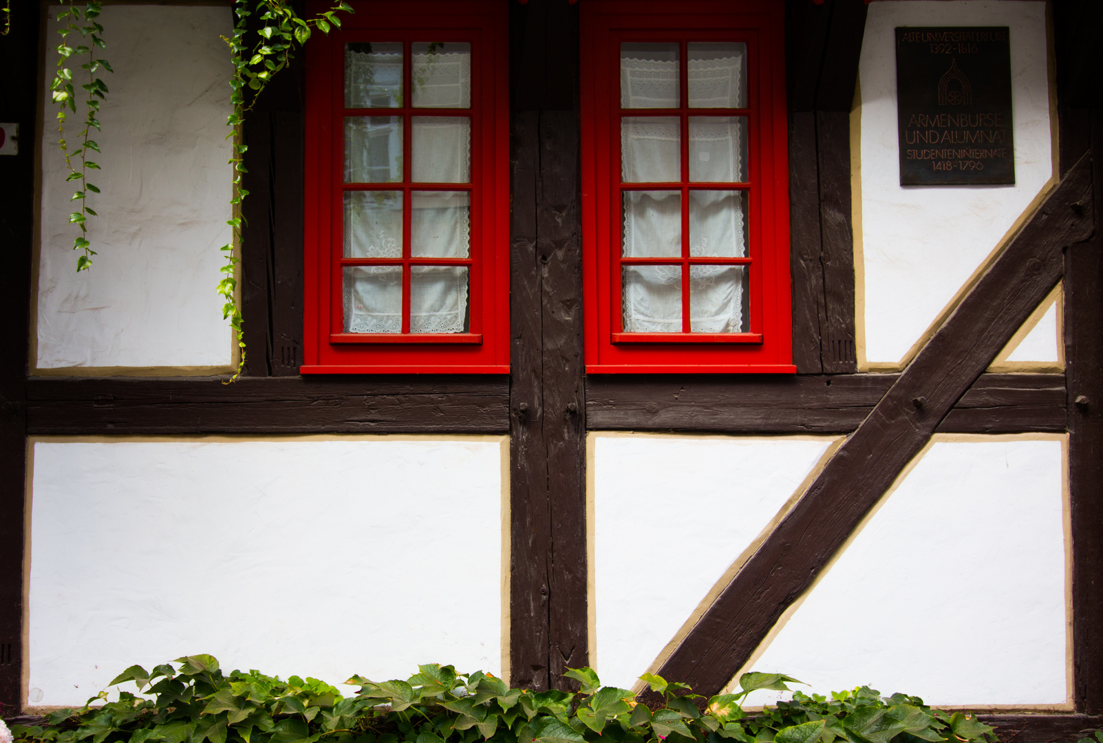 Buntes Erfurt 