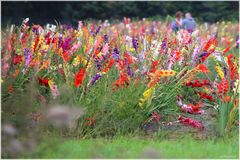 Buntes Erwachen